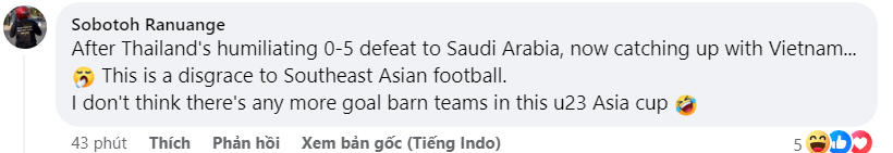 CĐV Indonesia bất ngờ gọi U23 Việt Nam là nỗi hổ thẹn Đông Nam Á