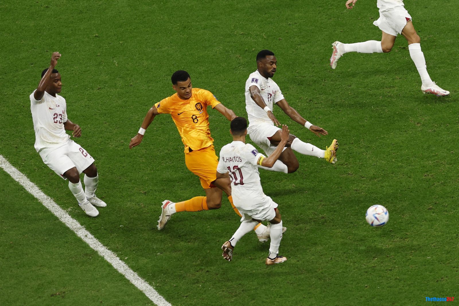 Gakpo đã có bàn thắng thứ 3 sau ba trận đấu tại World Cup 2022