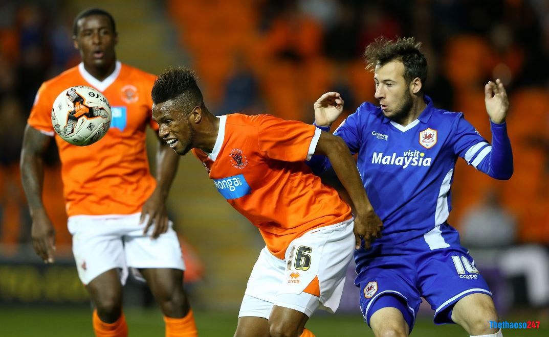 Soi kèo Cardiff City vs Blackpool