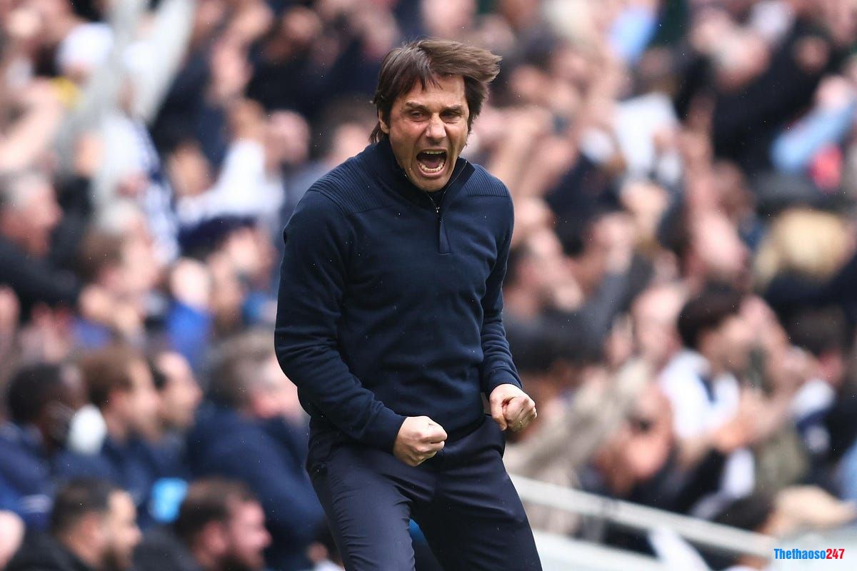 Tottenham, Conte