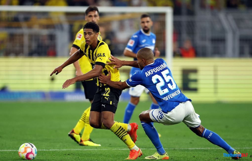 Soi kèo Hoffenheim vs Dortmund