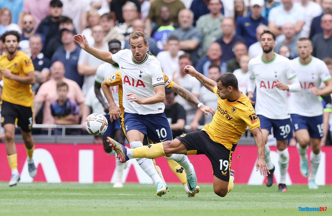 Soi kèo Wolves vs Tottenham, Premier League