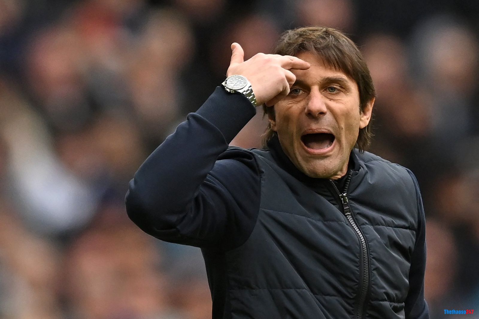 Conte, Tottenham