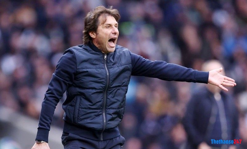 Conte