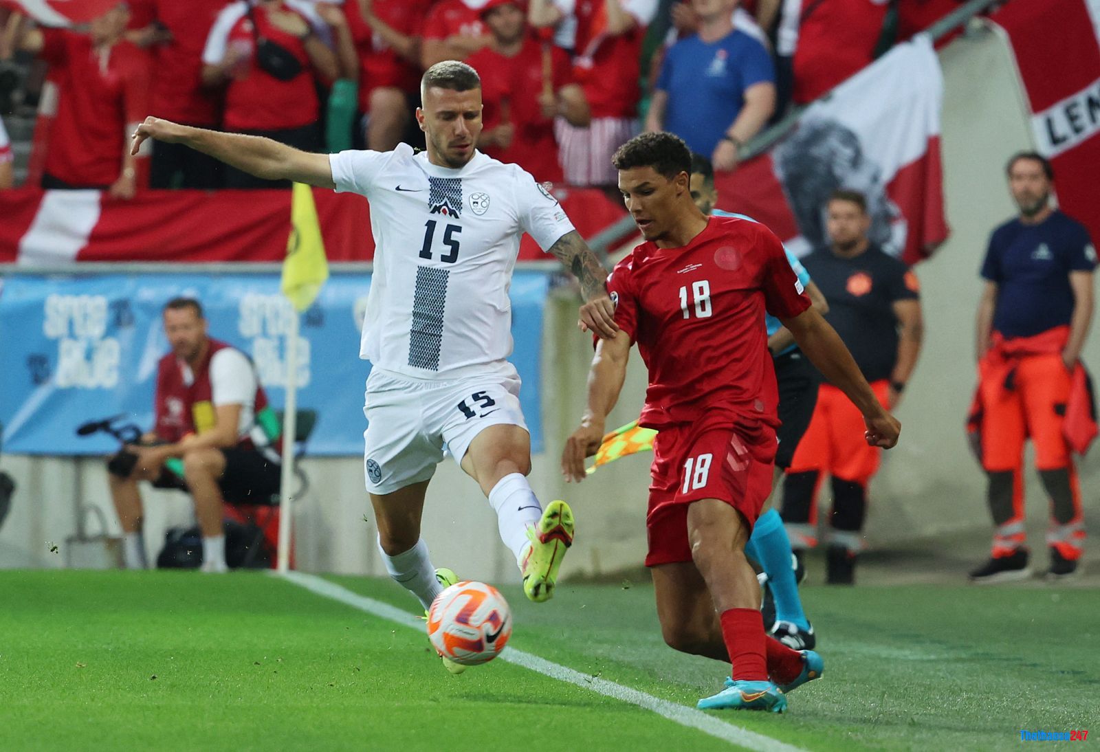 Kết quả bóng đá hôm nay: Slovenia 1-1 Đan Mạch