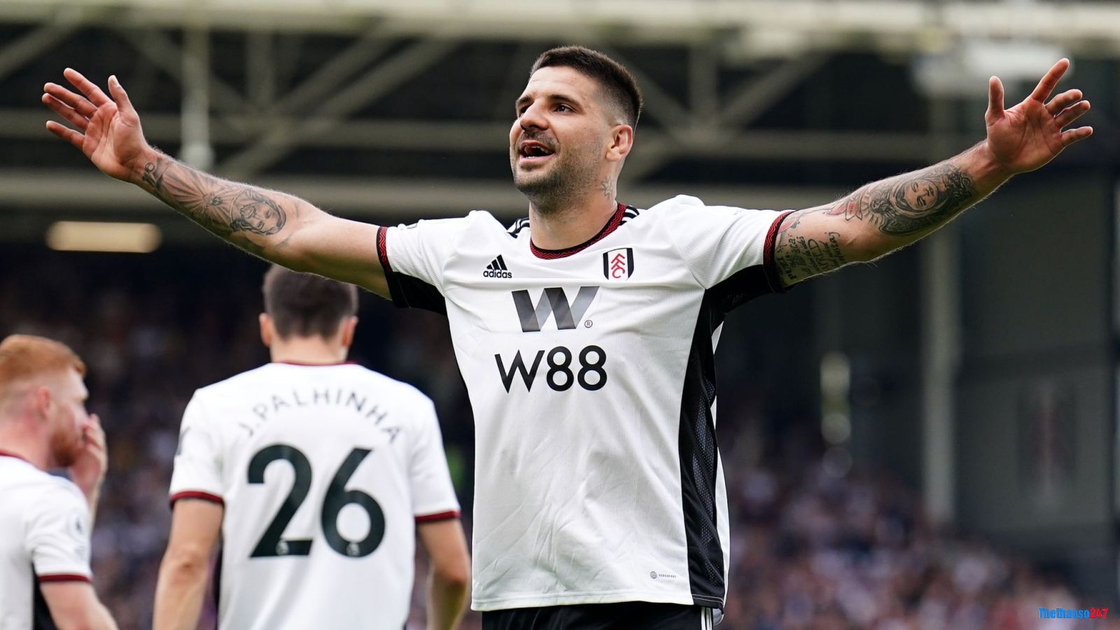 Aleksandar Mitrovic, Fulham