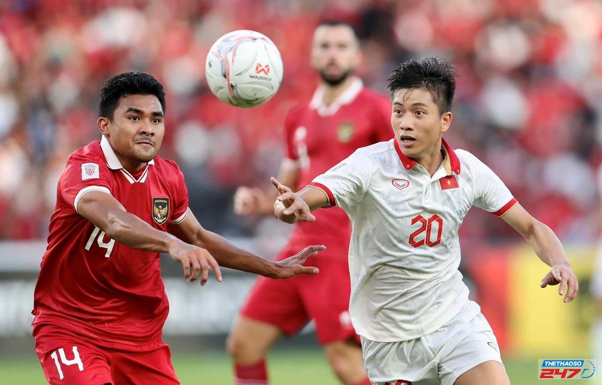 Việt Nam vs Indonesia