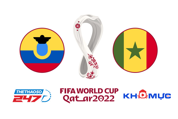Link trực tiếp bóng đá Ecuador vs Senegal