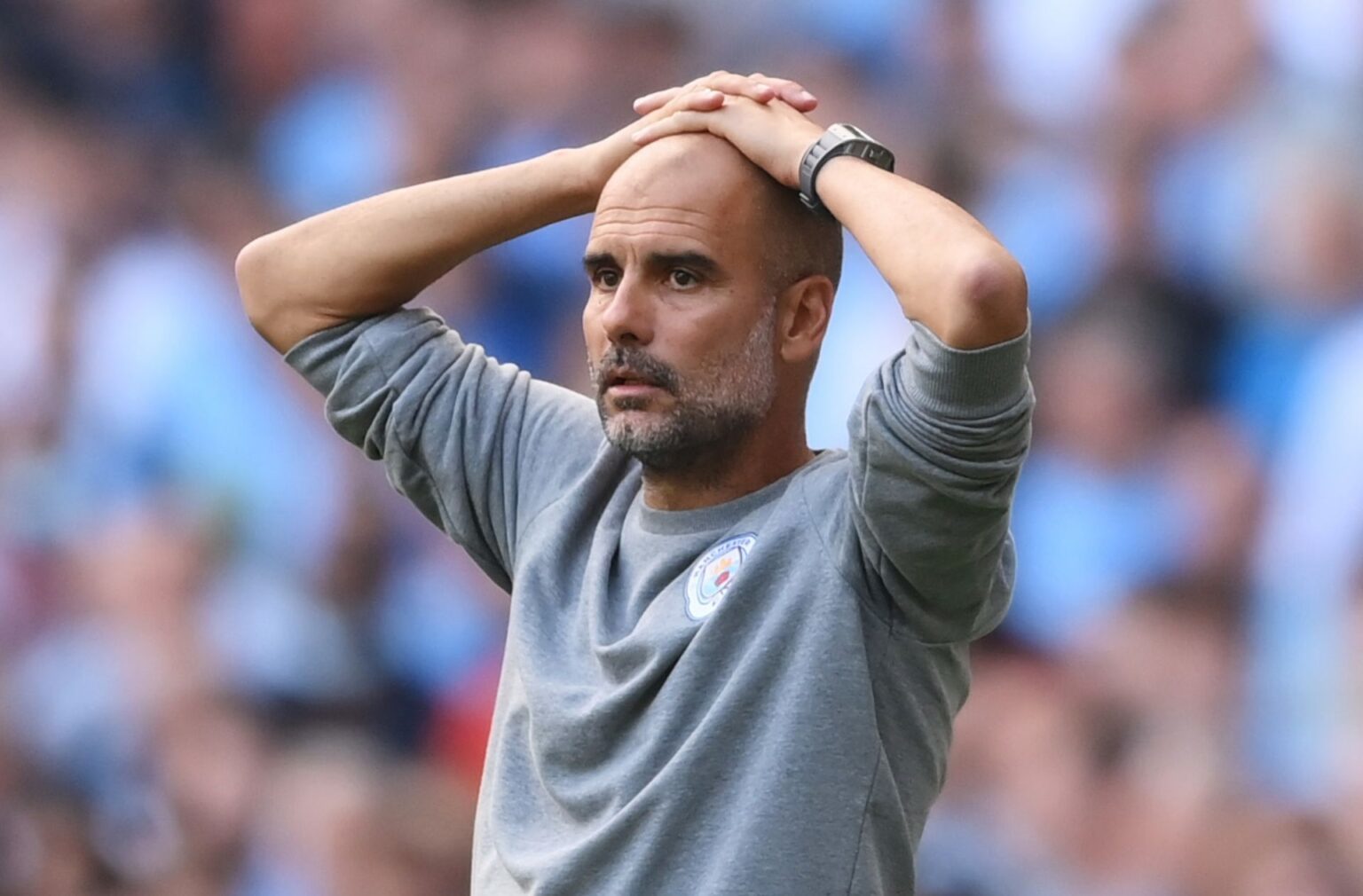 Pep Guardiola cảm thấy ghen tị với Chelsea