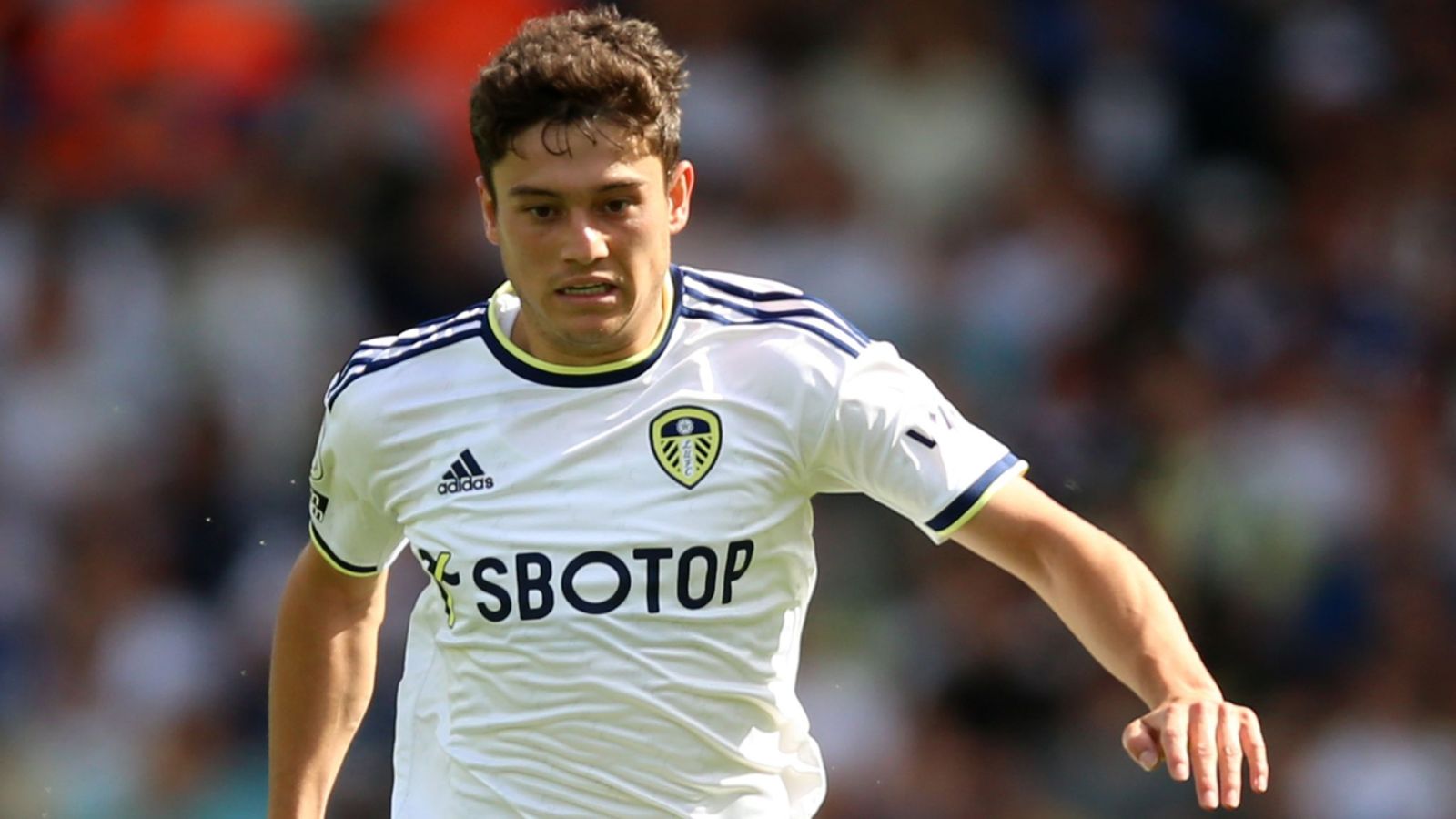 Daniel James Fulham chuyển nhượng hè 2022