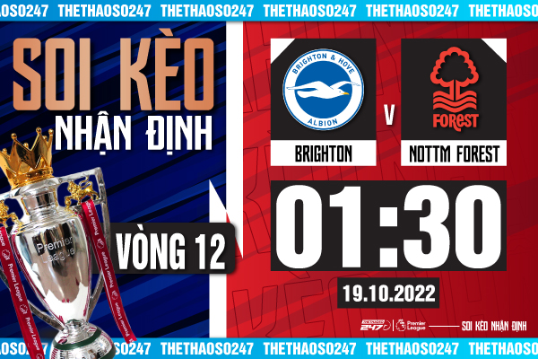 Soi kèo Brighton vs Nottingham, 01h30 ngày 19/10 | Ngoại Hạng Anh